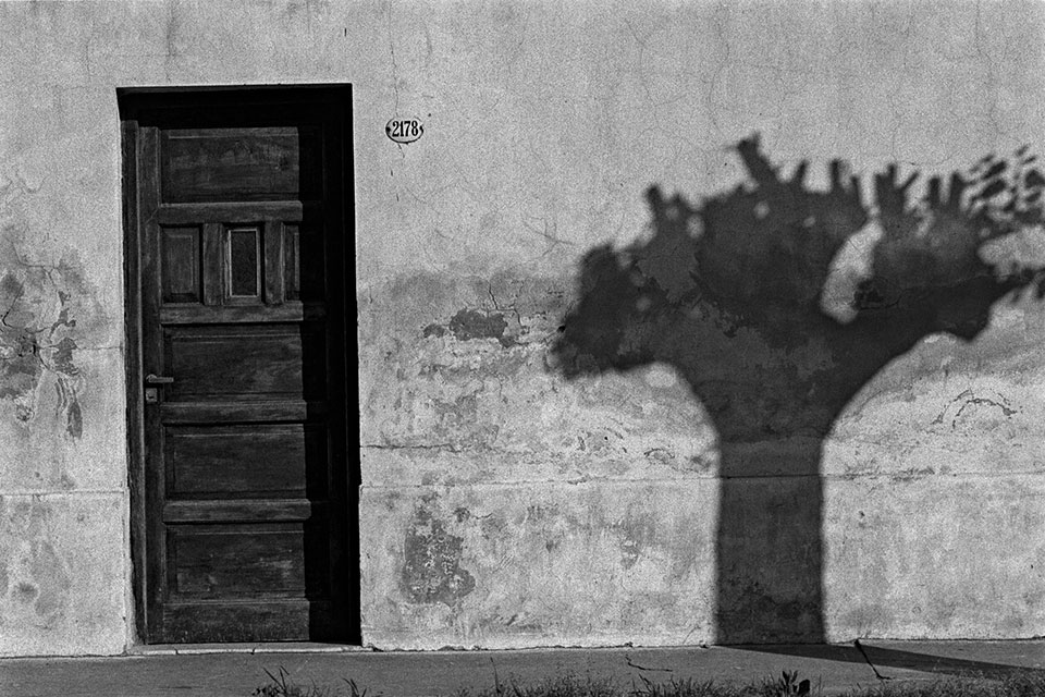 Puerta y sombra